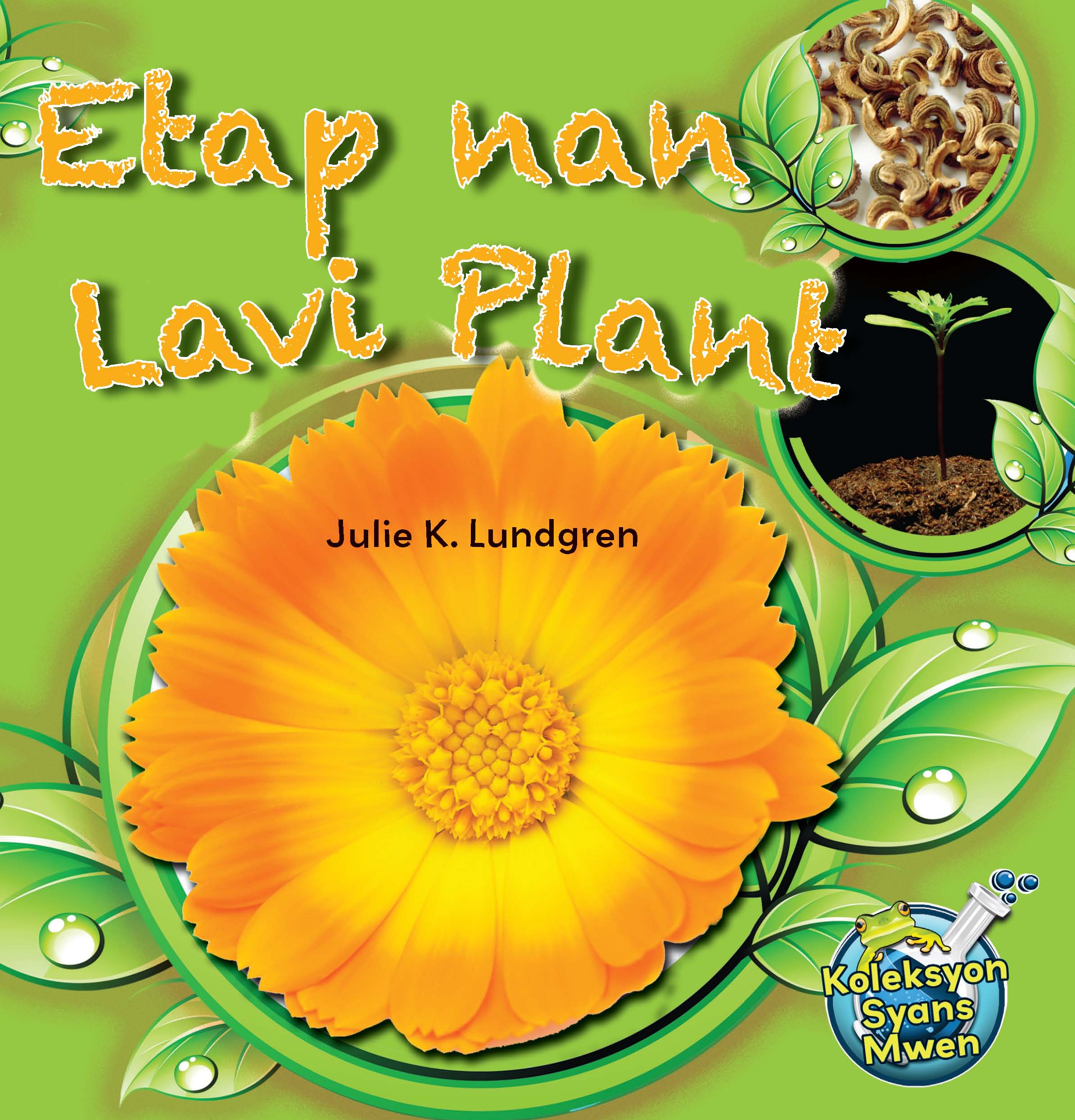 Etap nan lavi plant cover