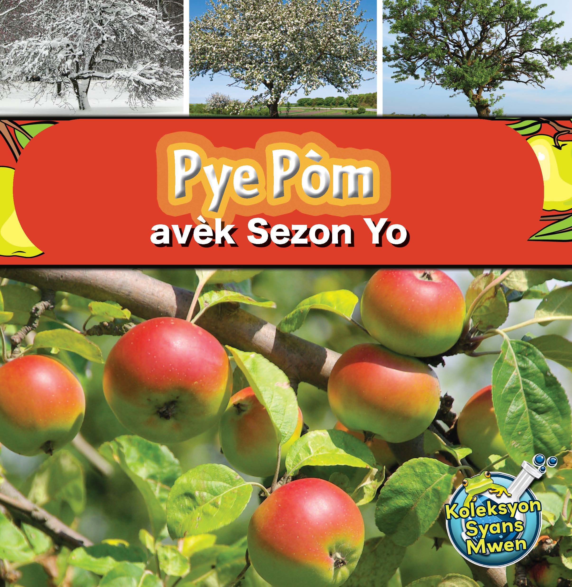 Pye pom cover