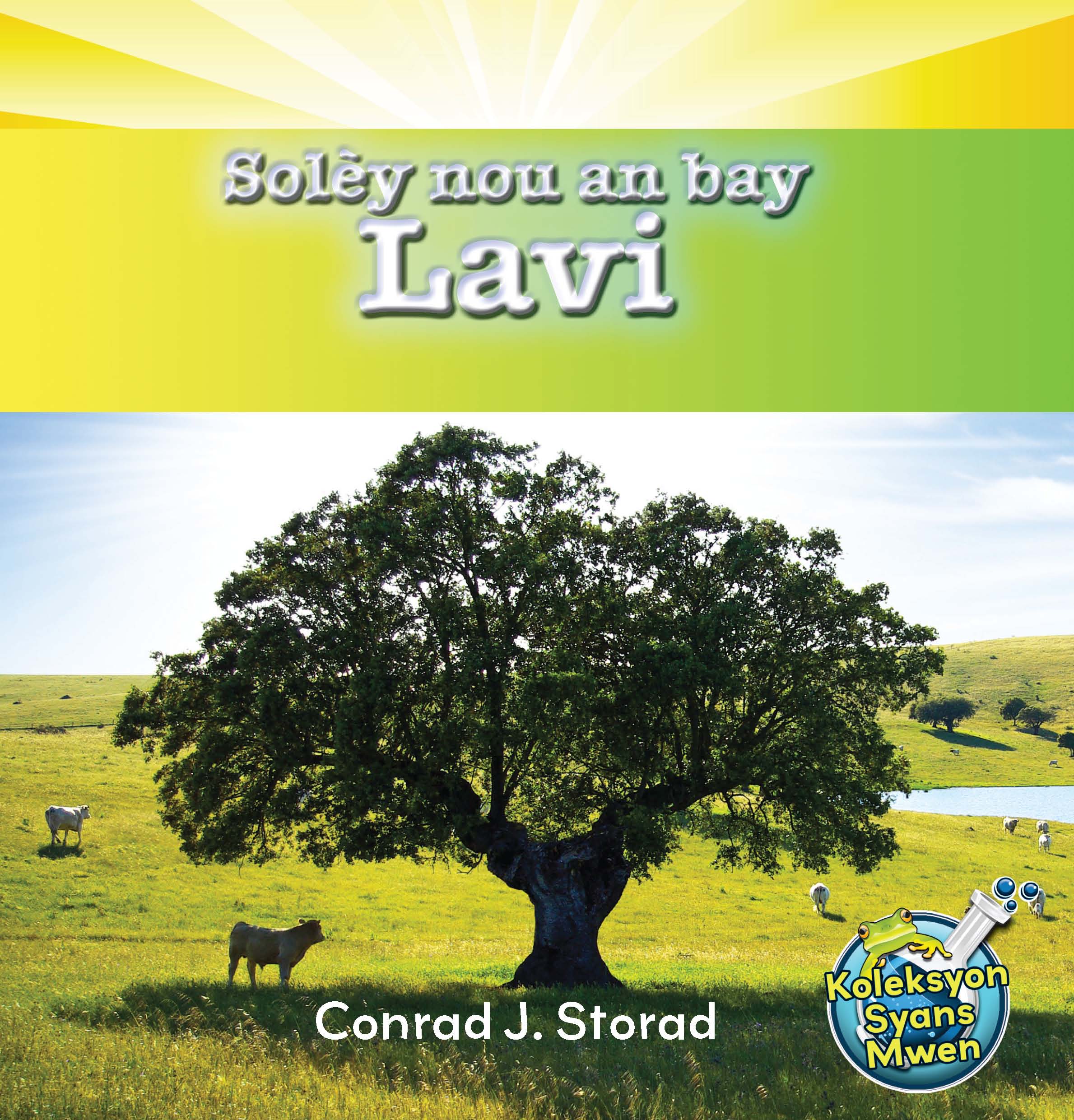 Soley nou an bay lavi cover